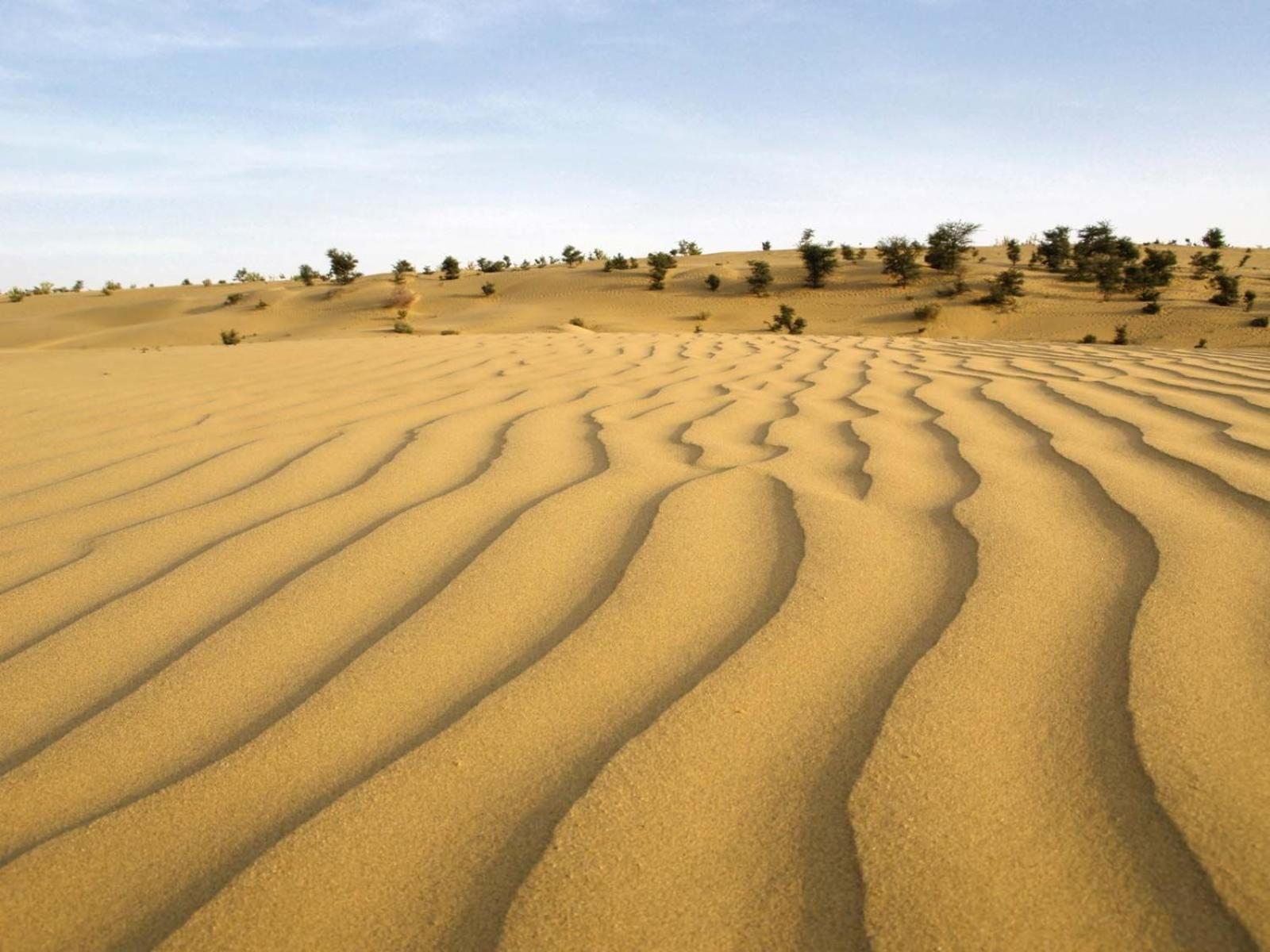 Sam Dunes Desert Luxury Camp & Resort Джайсалмер Екстериор снимка